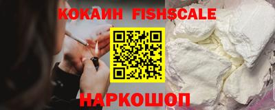 дмт Аргун