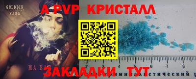 дмт Аргун