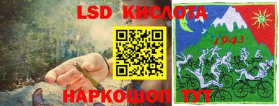 дмт Аргун