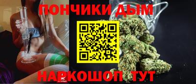 дмт Аргун