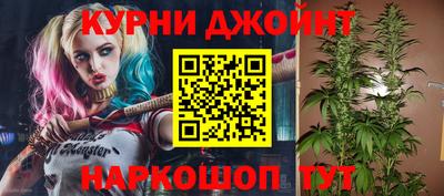 дмт Аргун
