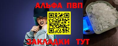 дмт Аргун