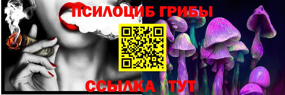 что такое наркотик  Вход с VPN  Галлюциногенные грибы Psilocybe  Боровичи  Псилоцибиновые грибы прущие грибы 